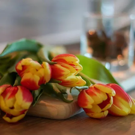 Apartamento Duenenpark-heiligenhafen-haus-sandduene-wohnung-11-moewe-emma Heiligenhafen